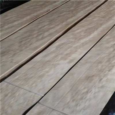 Kłody Drewna Cienia